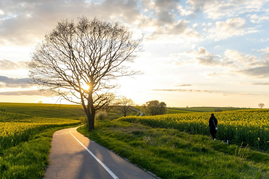 person on path towards bright future
