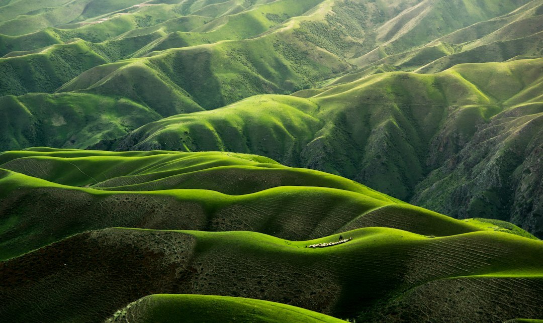 Rolling green hills under a soft sky representing growth