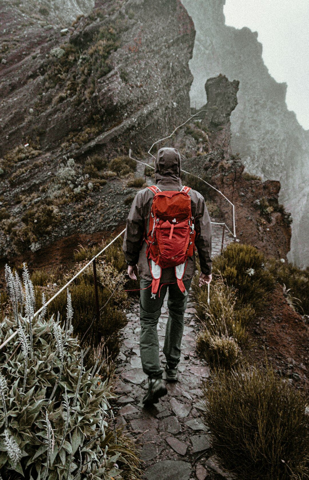 person hiking on mountain trail